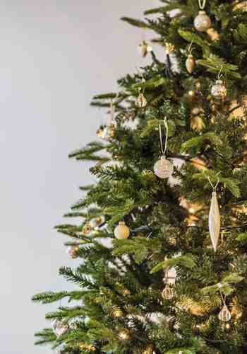 Christmas tree at Hotel Stafler